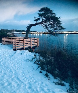 Protected: Grace in the&nbsp;Grounds